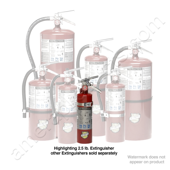 Buckeye 13315 2.5 Lb Fire Extinguisher With Vehicle Bracket #EC-13315